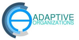 AdaptiveOrganizations